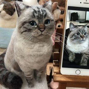 Custom pet wool felt cat, best gift for everyone